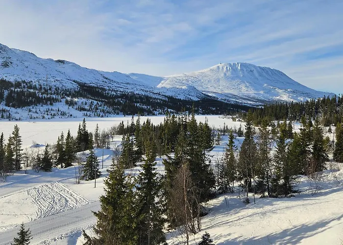 Appartement Lovely In With Wifi Rjukan