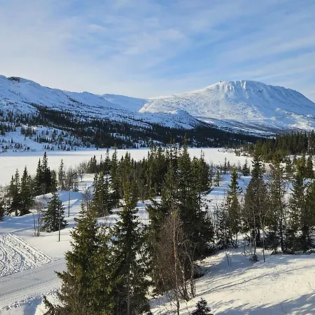 Leilighet Lovely In With Wifi Rjukan
